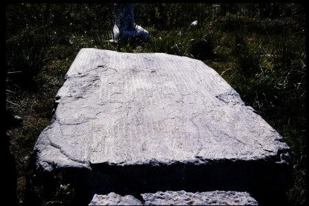 199503 - 199503_11_20