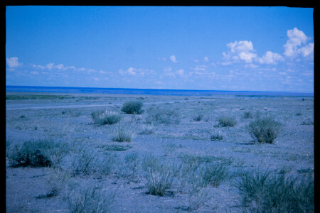 199601 - 199601_01_15