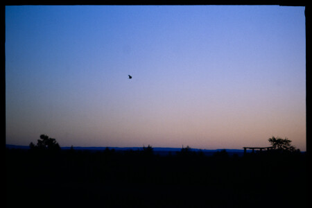 199601 - 199601_02_01
