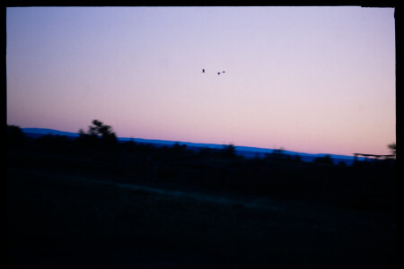 199601 - 199601_02_02