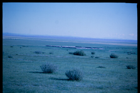 199601 - 199601_02_12