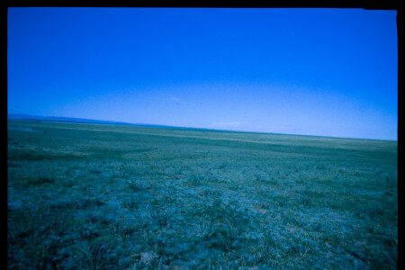199601 - 199601_02_13
