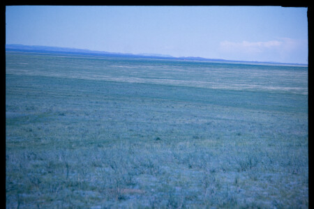 199601 - 199601_02_15