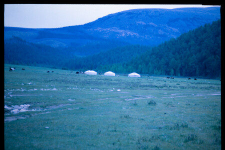 199601 - 199601_03_16