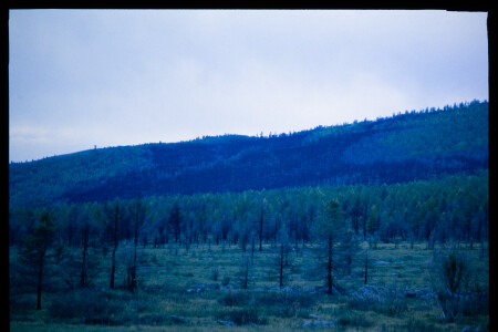 199601 - 199601_04_01