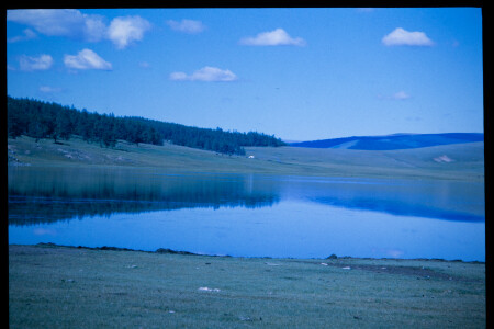 199601 - 199601_05_15