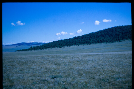 199601 - 199601_06_13