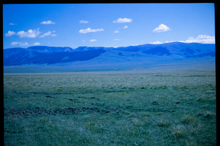 199601 - 199601_06_14
