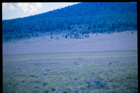 199601 - 199601_06_16