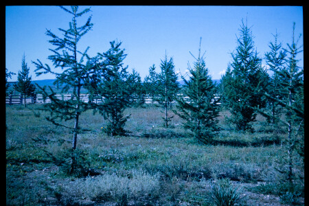 199601 - 199601_10_09