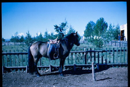 199601 - 199601_10_15