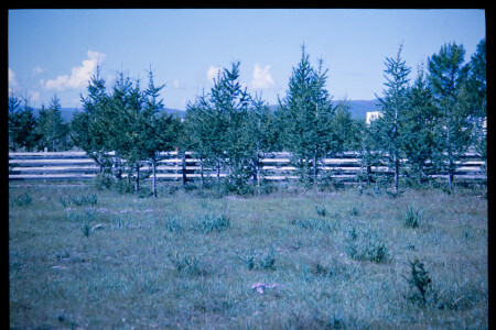 199601 - 199601_10_17
