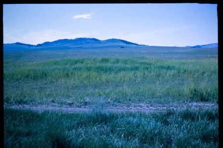 199602 - 199602_04_10