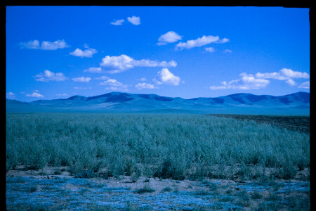 199602 - 199602_07_16