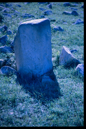 199603 - 199603_05_13