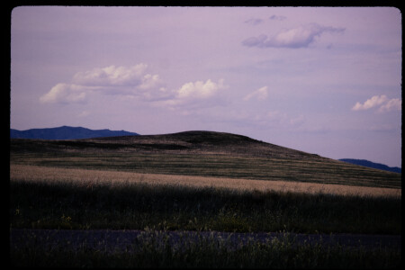 199604 - 199604_01_17