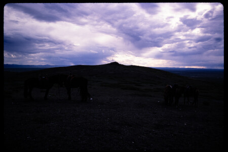 199604 - 199604_10_03