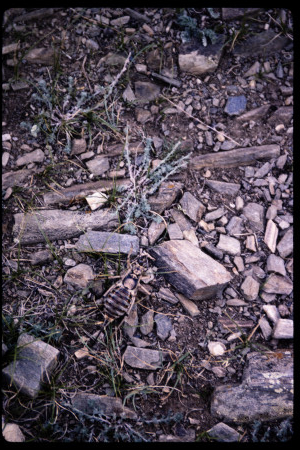 199604 - 199604_10_06