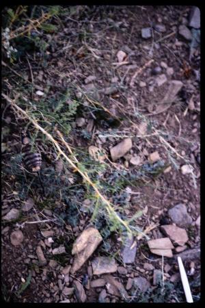 199604 - 199604_10_07