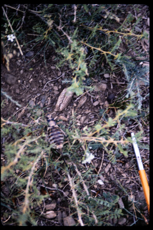 199604 - 199604_10_08