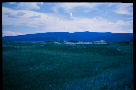 199701 - 199701_01_08