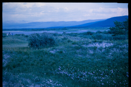199701 - 199701_01_13
