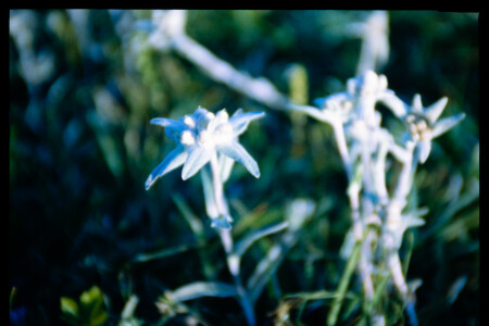 199701 - 199701_02_03
