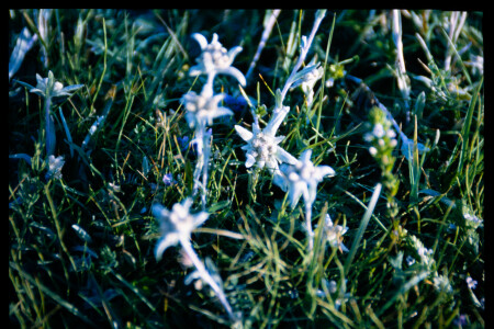 199701 - 199701_02_04