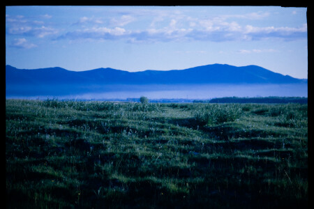 199701 - 199701_02_10