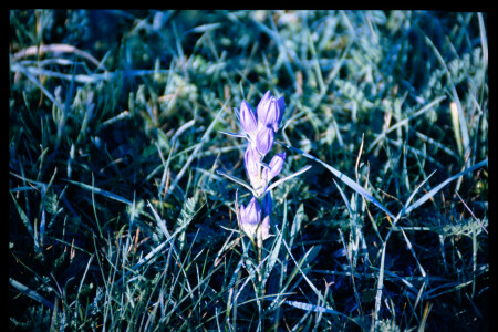 199701 - 199701_02_12