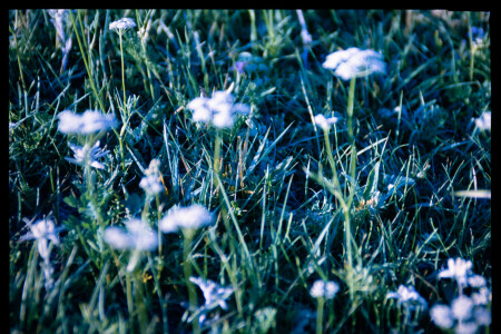 199701 - 199701_02_13