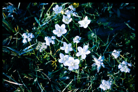 199701 - 199701_02_15