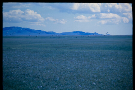 199701 - 199701_05_07