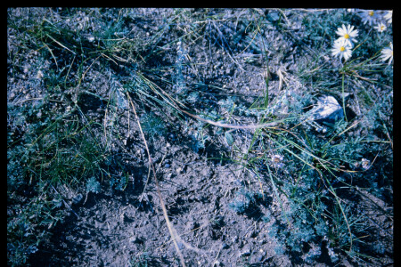 199701 - 199701_05_14