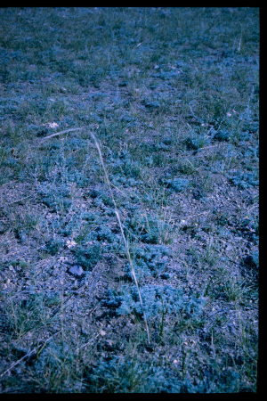 199701 - 199701_05_17