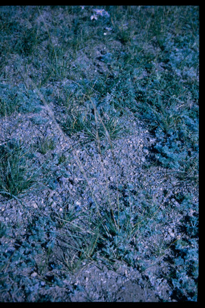 199701 - 199701_05_18