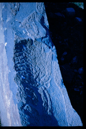 199701 - 199701_08_12