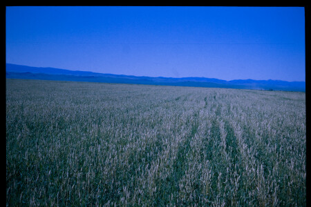 199702 - 199702_05_02