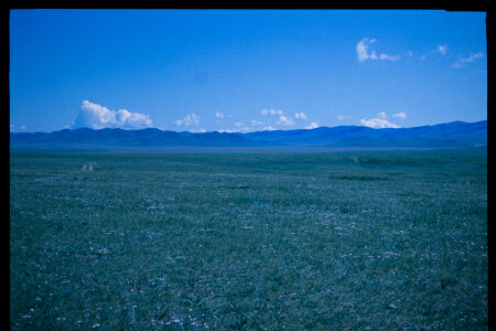 199702 - 199702_07_06
