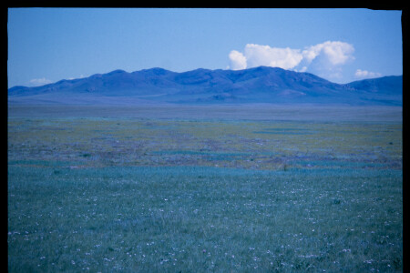 199702 - 199702_07_11