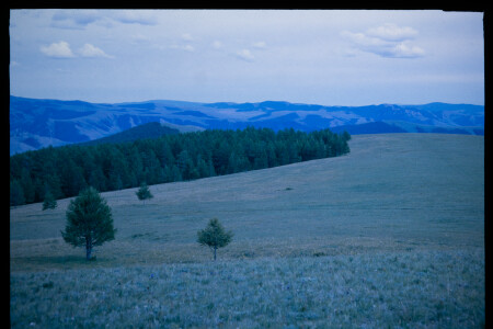 199702 - 199702_10_01
