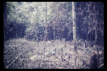 TIFF - 01_04_10
