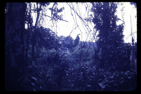 TIFF - 01_04_12