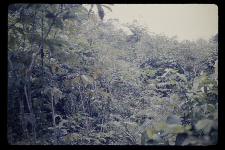 TIFF - 01_04_13