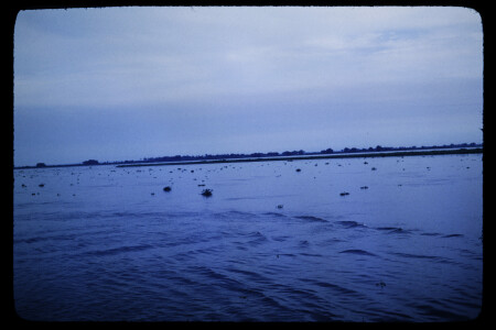 TIFF - 02_01_01