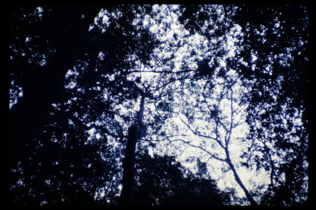 TIFF - 02_03_17