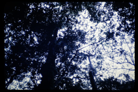 TIFF - 02_03_18