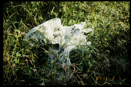 TIFF - 03_03_13