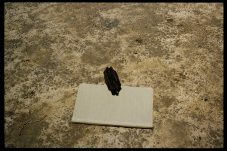 TIFF - 03_11_12