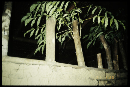 TIFF - 04_03_03
